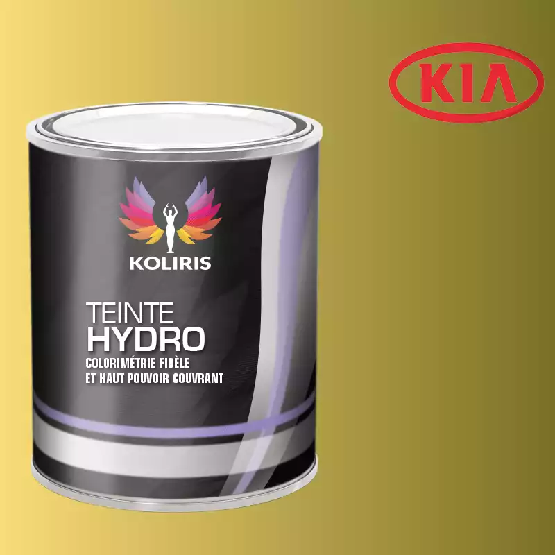 Peinture voiture hydro Kia