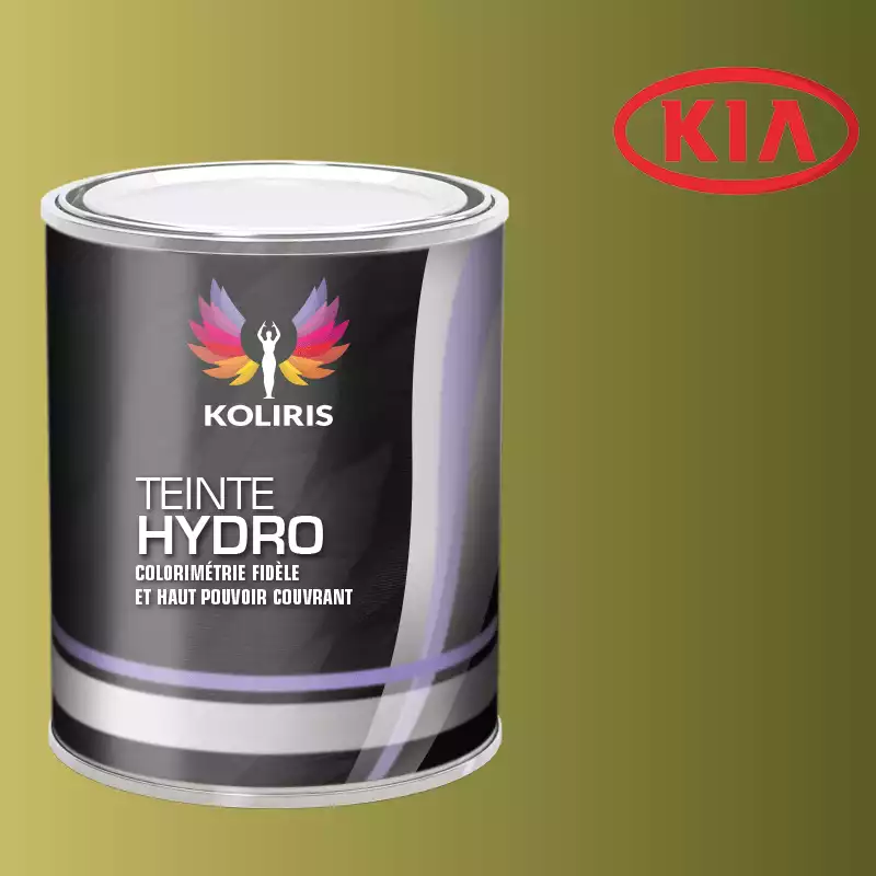 Peinture voiture hydro Kia