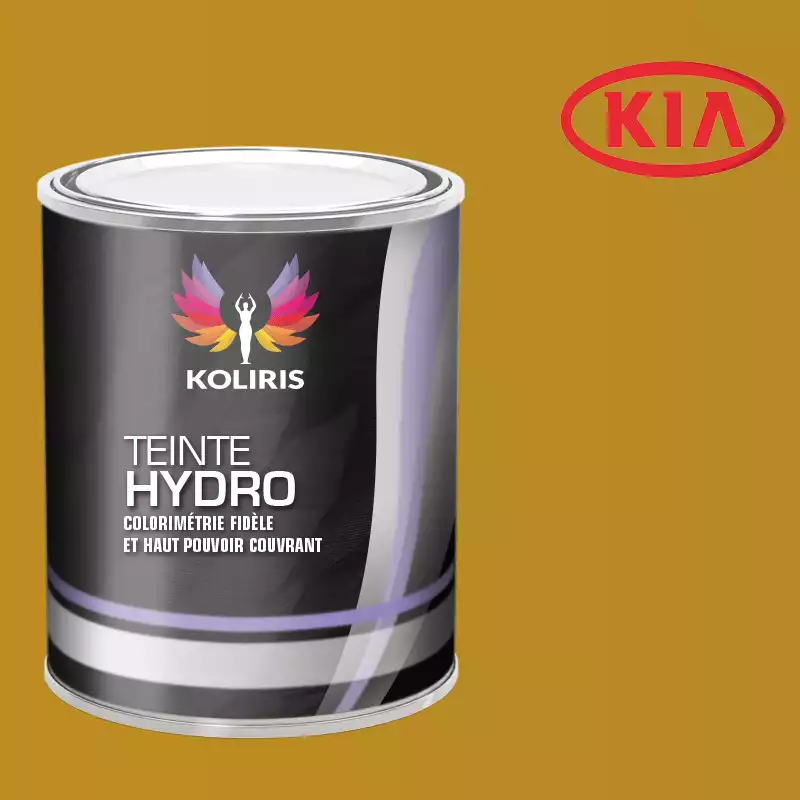 Peinture voiture hydro Kia