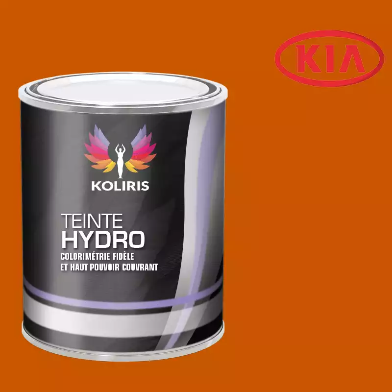 Peinture voiture hydro Kia