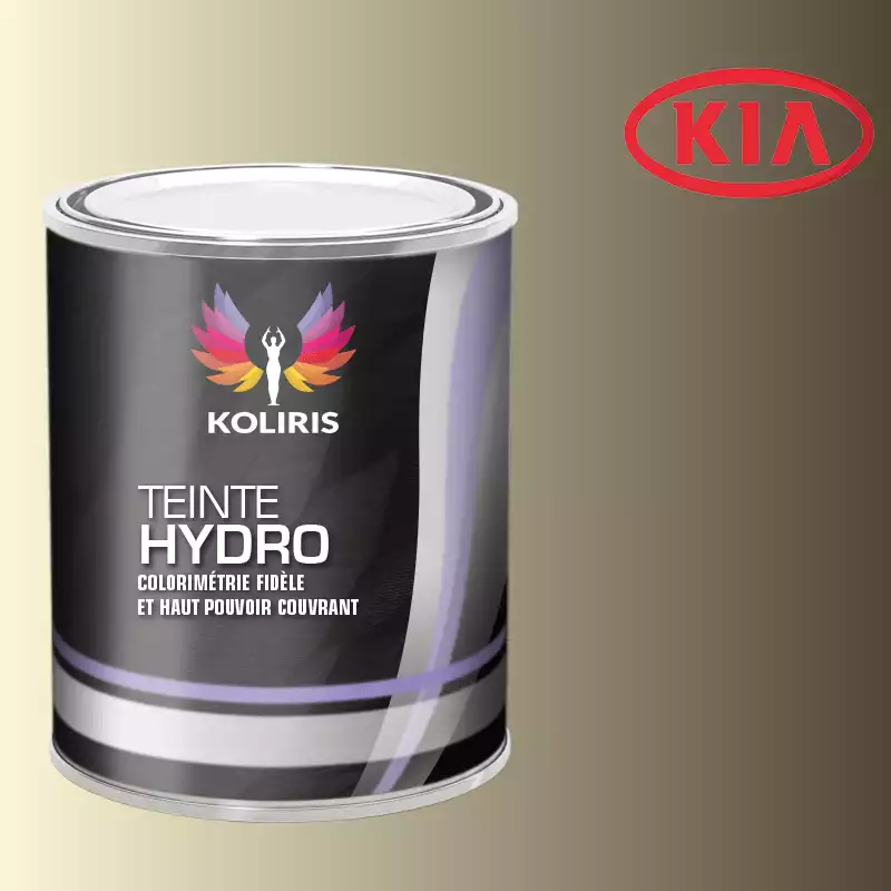 Peinture voiture hydro Kia