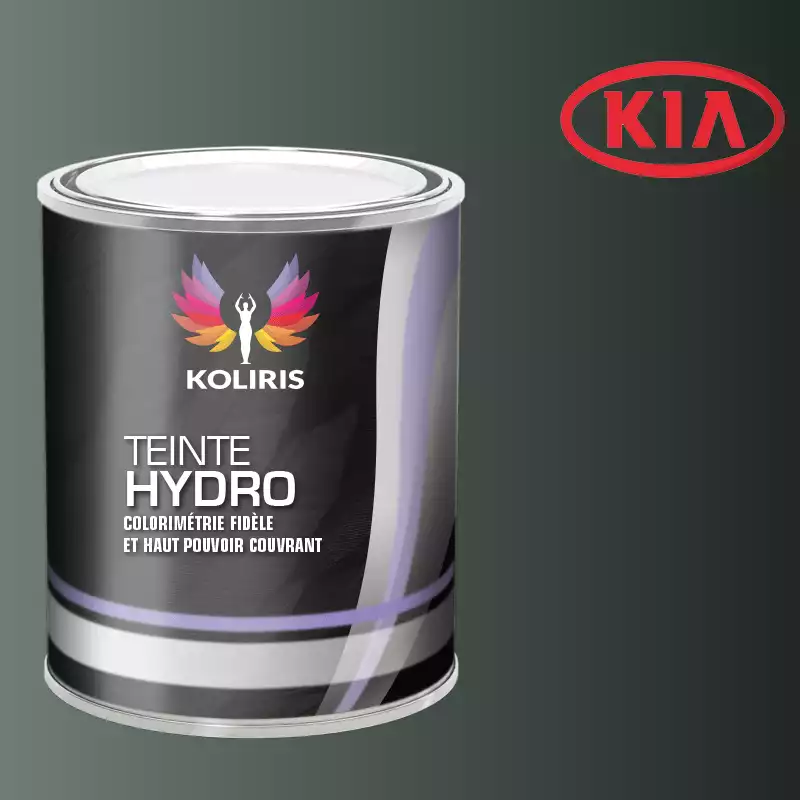 Peinture voiture hydro Kia