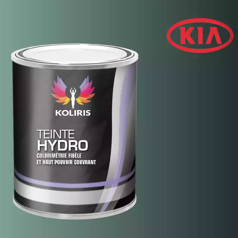 Peinture voiture hydro Kia