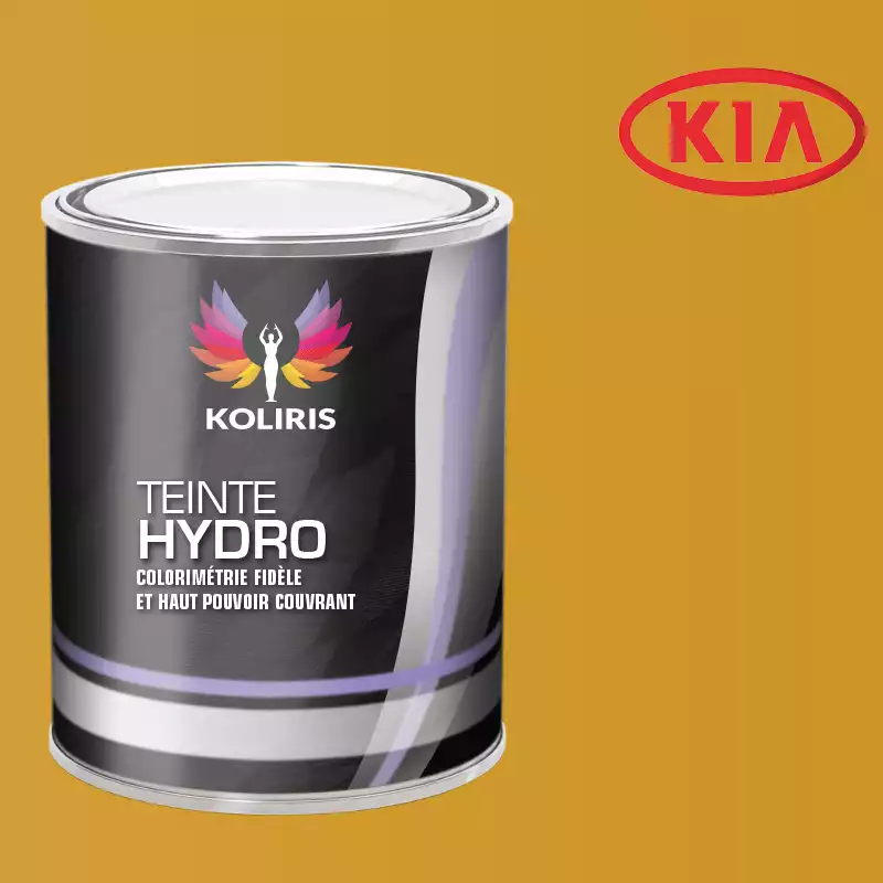 Peinture voiture hydro Kia