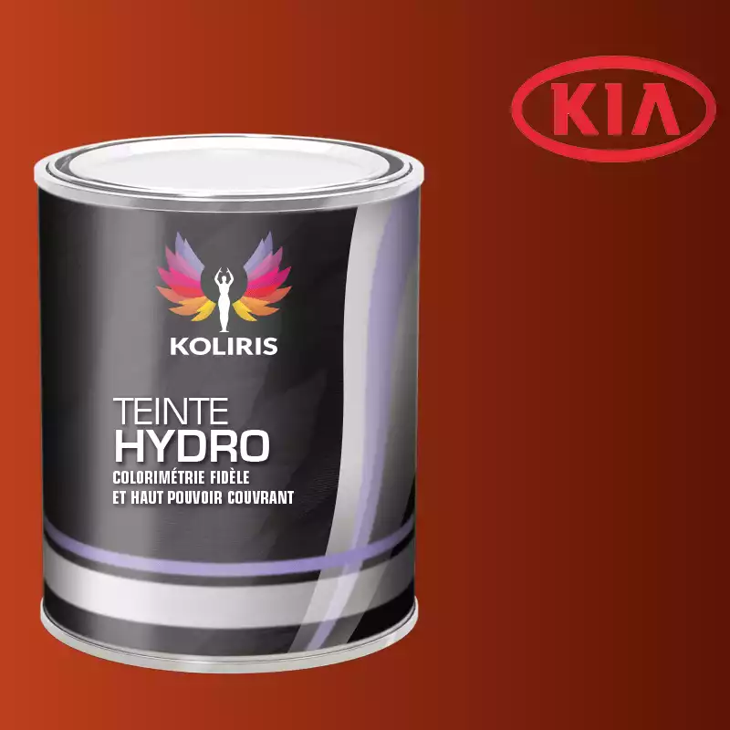 Peinture voiture hydro Kia