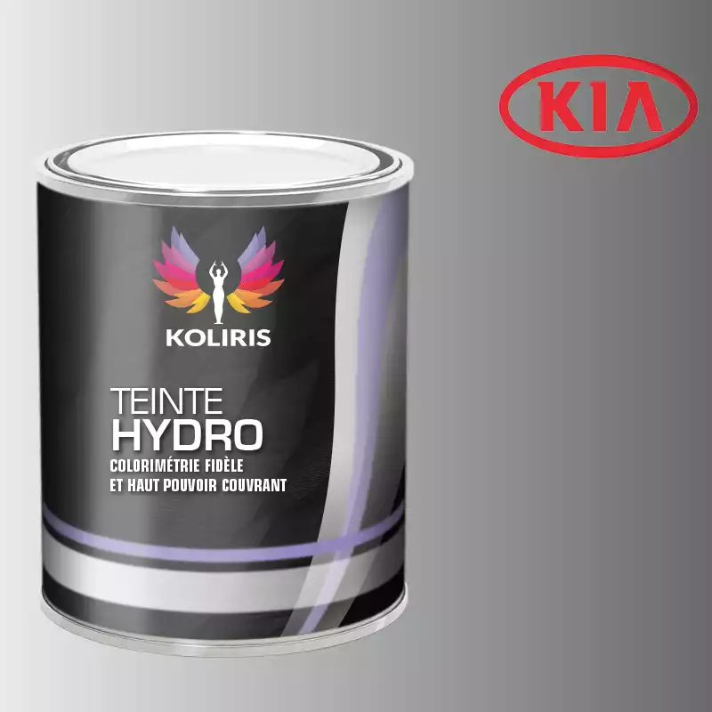 Peinture voiture hydro Kia