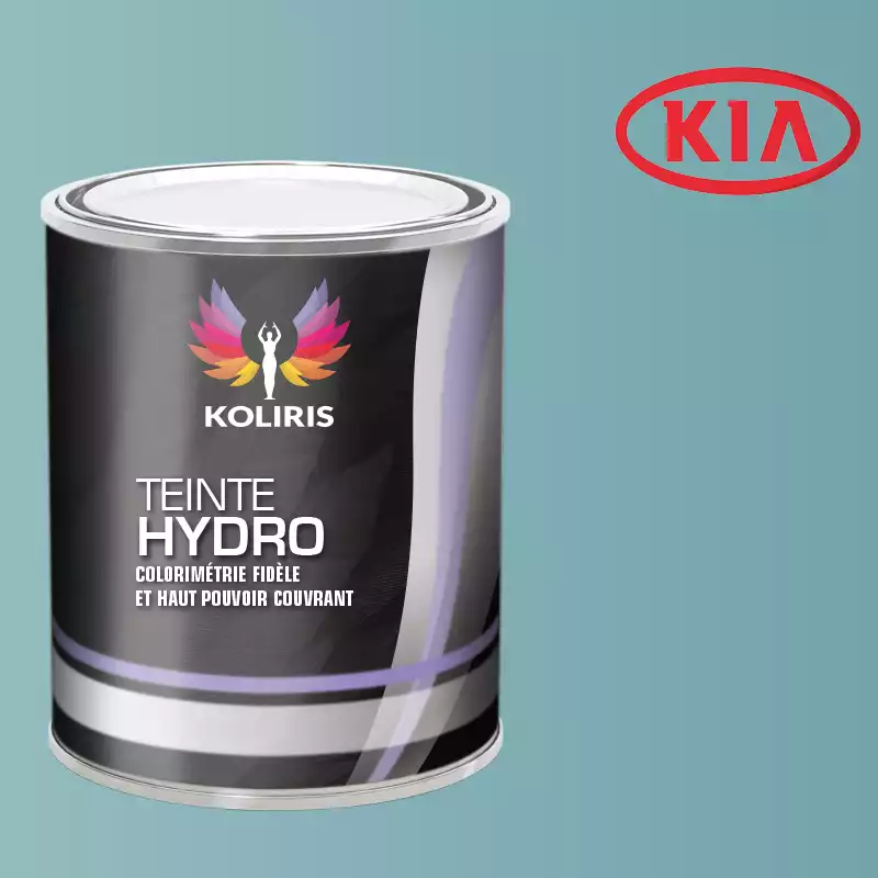 Peinture voiture hydro Kia