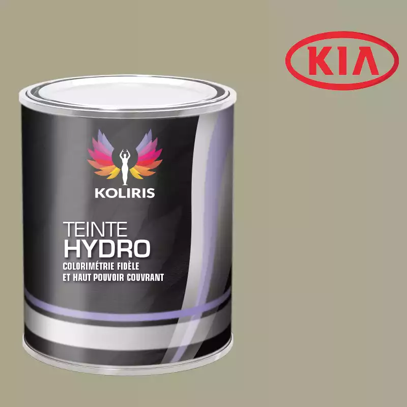 Peinture voiture hydro Kia