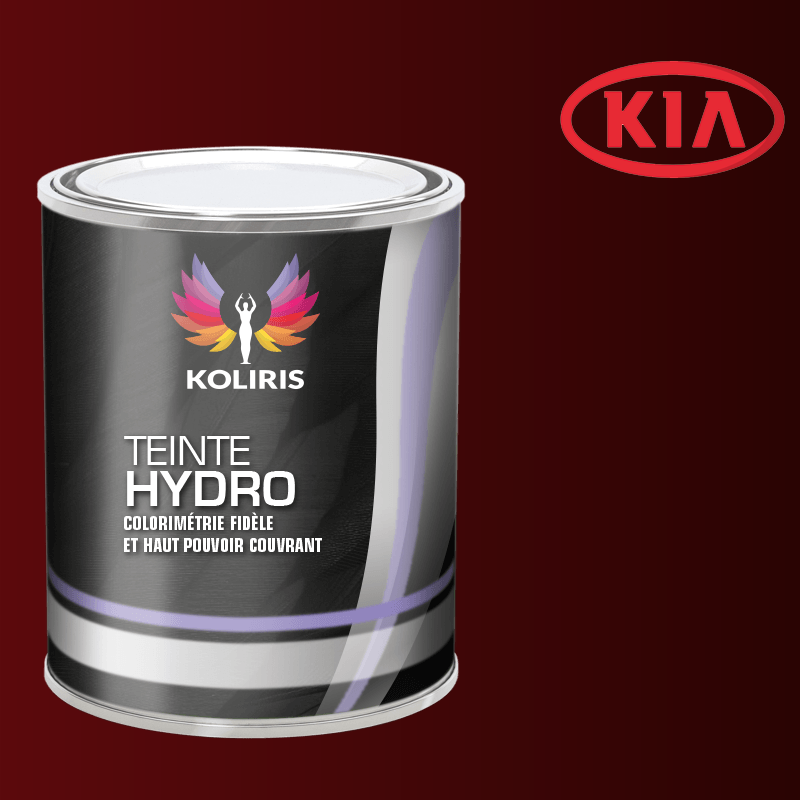 Peinture voiture hydro Kia