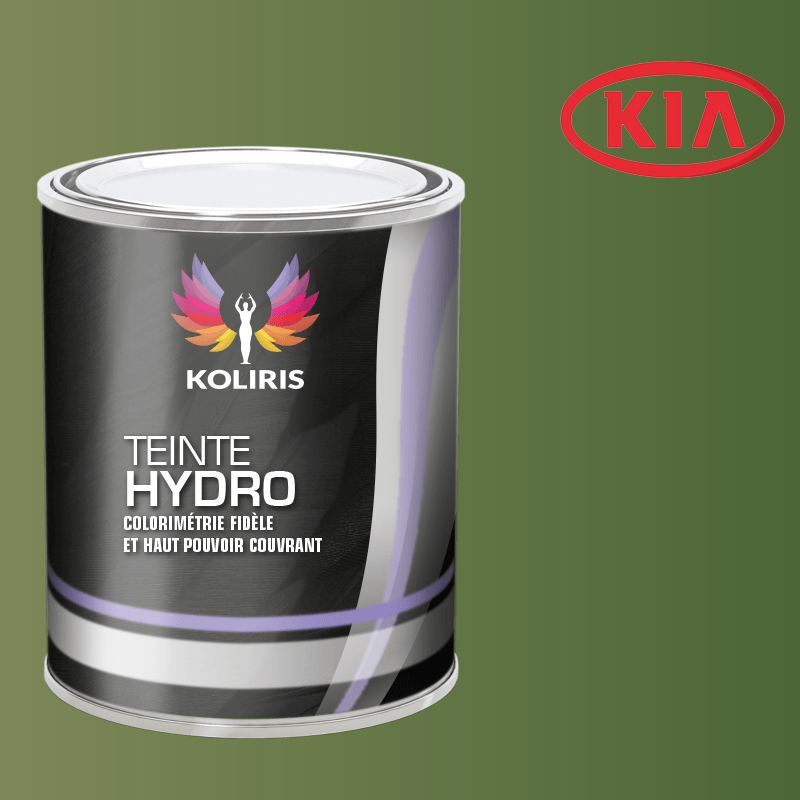 Peinture voiture hydro Kia