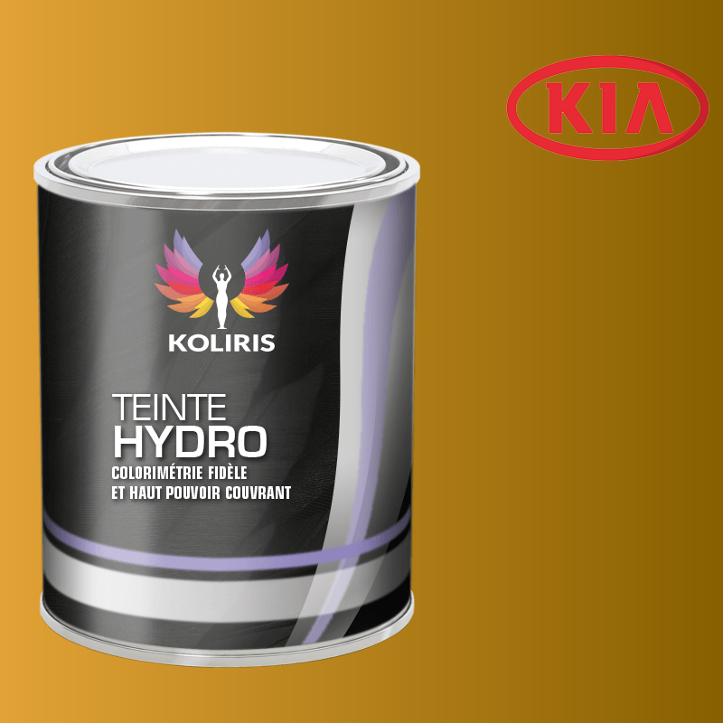 Peinture voiture hydro Kia