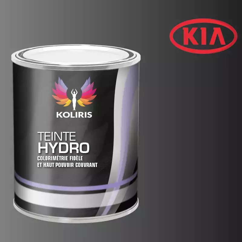 Peinture voiture hydro Kia