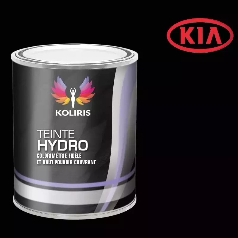 Peinture voiture hydro Kia