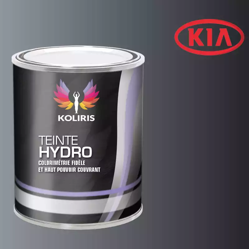 Peinture voiture hydro Kia