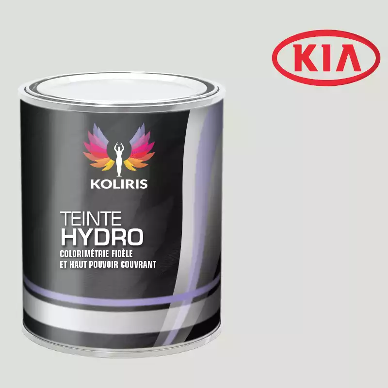 Peinture voiture hydro Kia