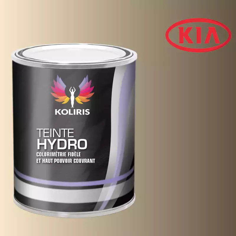 Peinture voiture hydro Kia