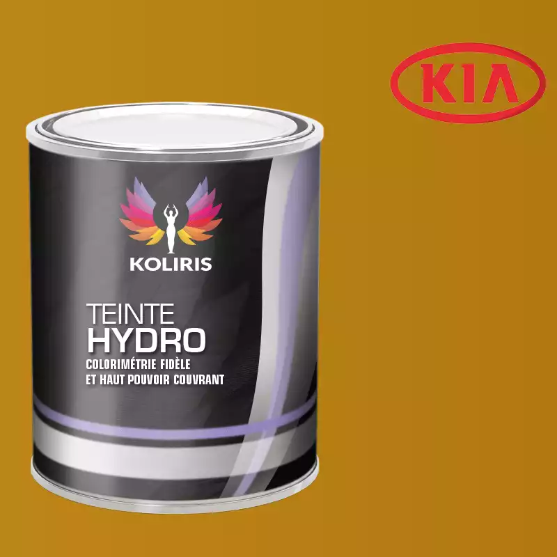 Peinture voiture hydro Kia