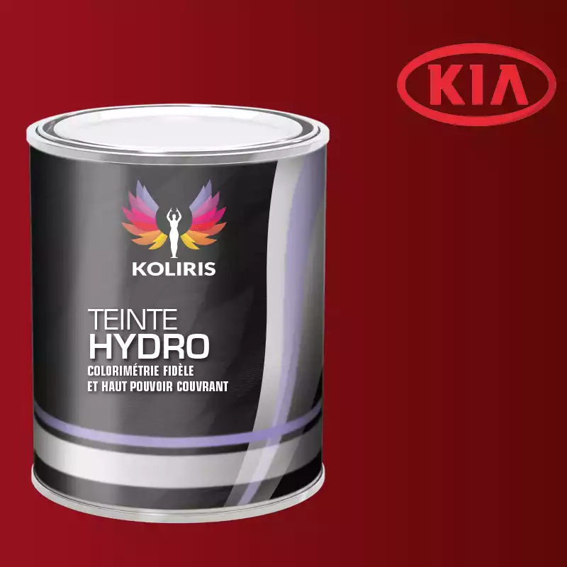 Peinture voiture hydro Kia