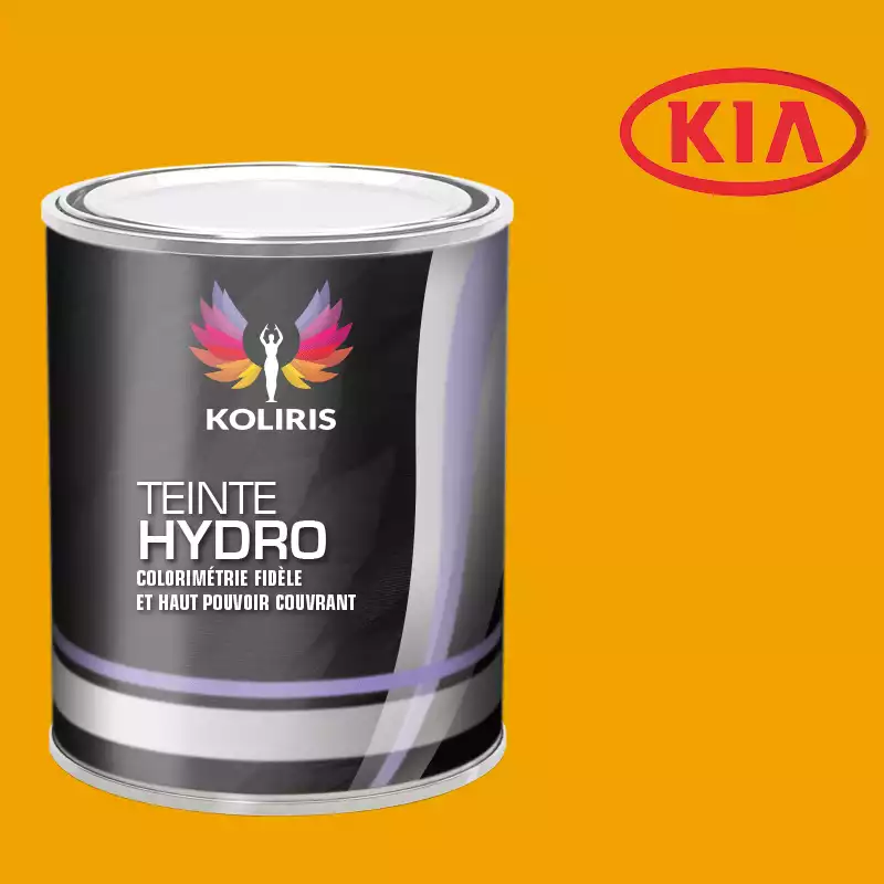 Peinture voiture hydro Kia