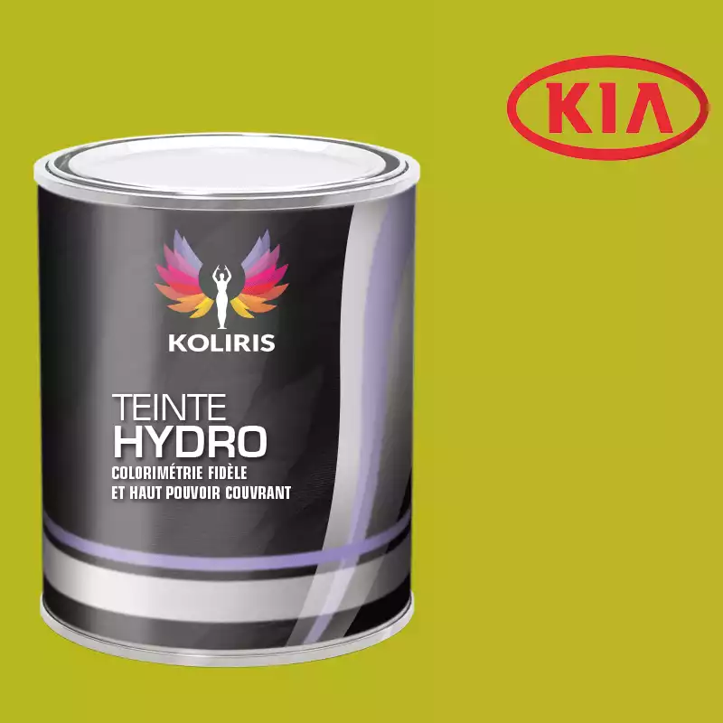 Peinture voiture hydro Kia