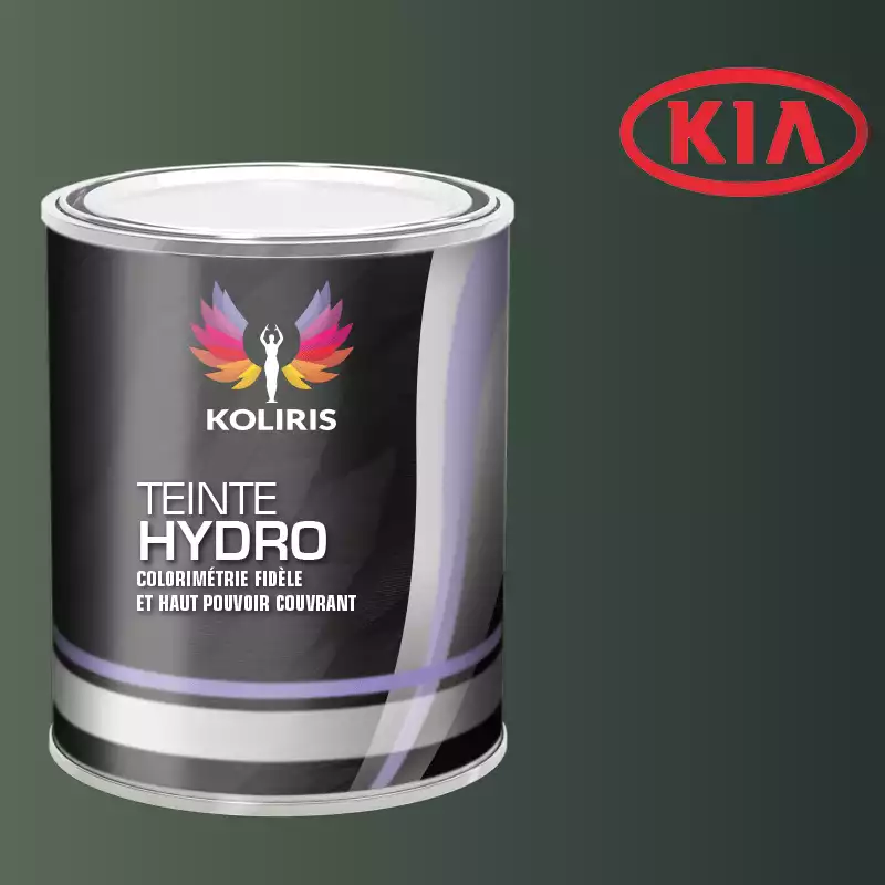 Peinture voiture hydro Kia