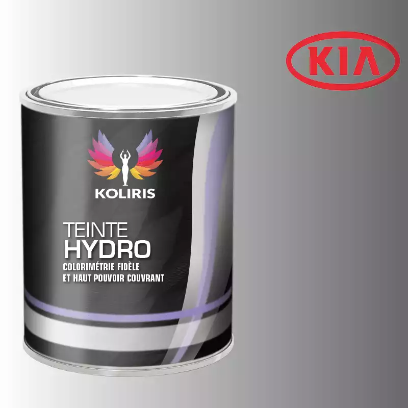 Peinture voiture hydro Kia