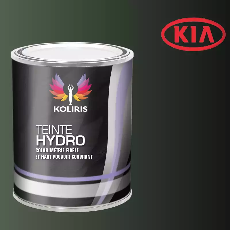 Peinture voiture hydro Kia