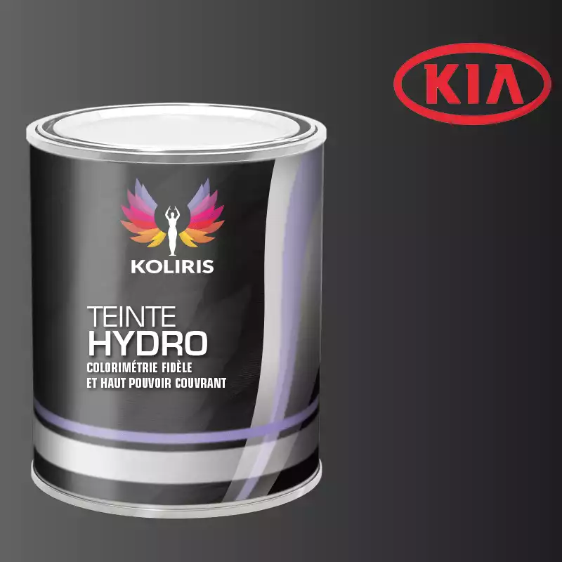 Peinture voiture hydro Kia