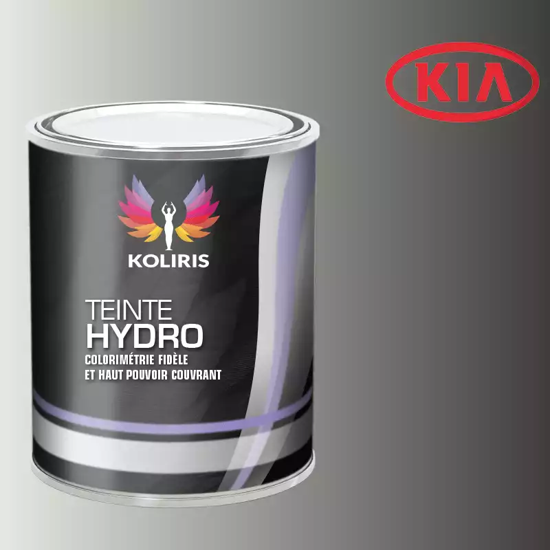 Peinture voiture hydro Kia