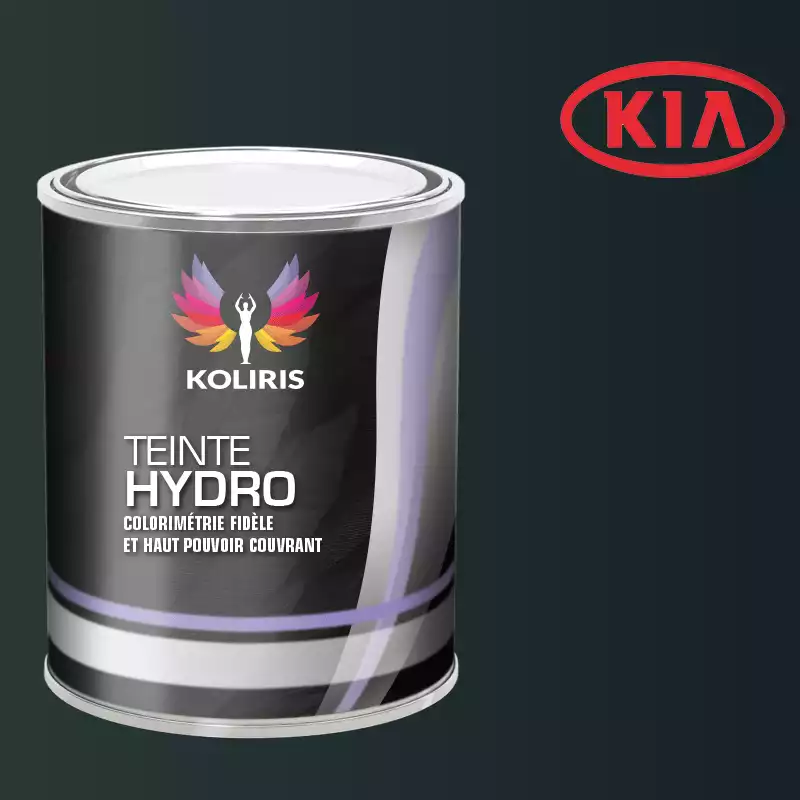 Peinture voiture hydro Kia