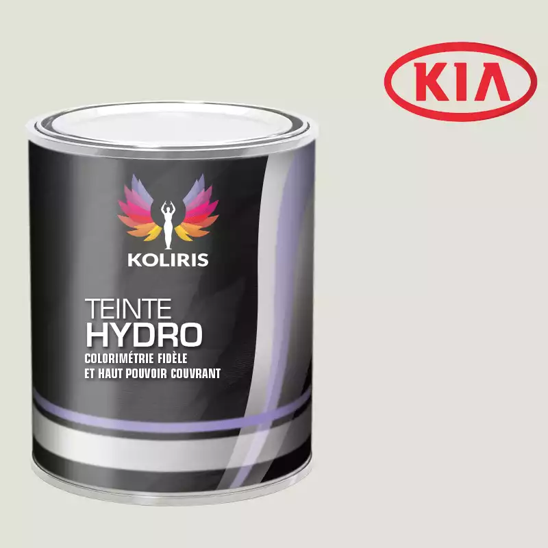 Peinture voiture hydro Kia