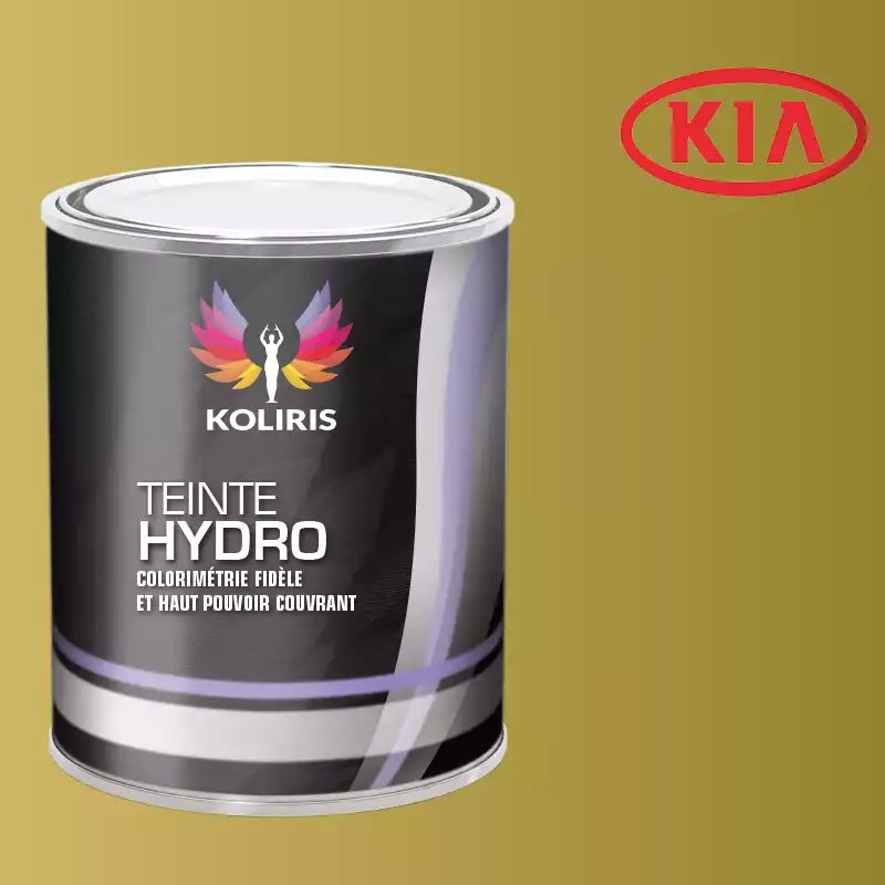 Peinture voiture hydro Kia