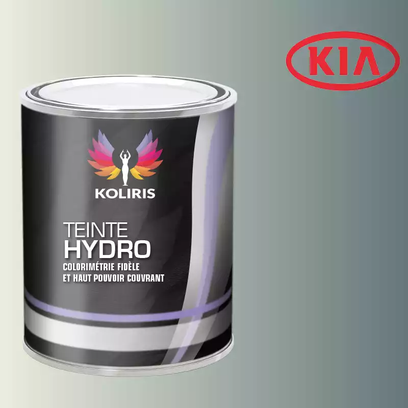 Peinture voiture hydro Kia