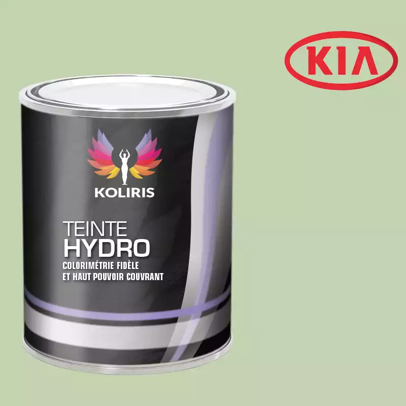 Peinture voiture hydro Kia