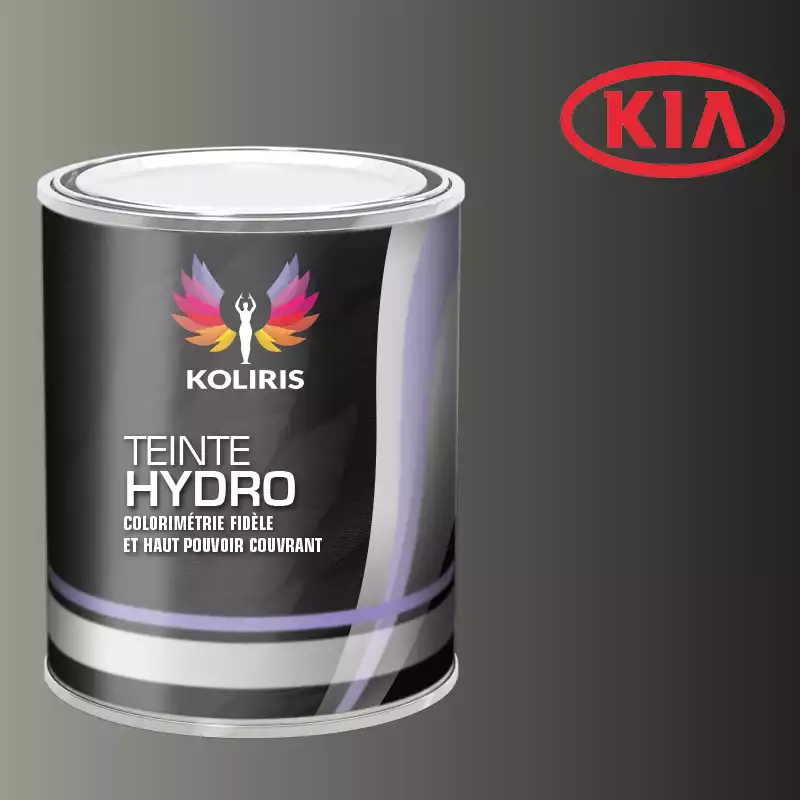 Peinture voiture hydro Kia