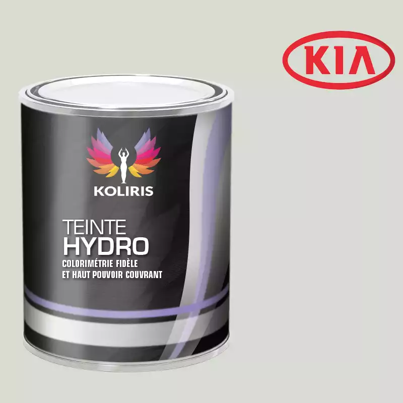 Peinture voiture hydro Kia