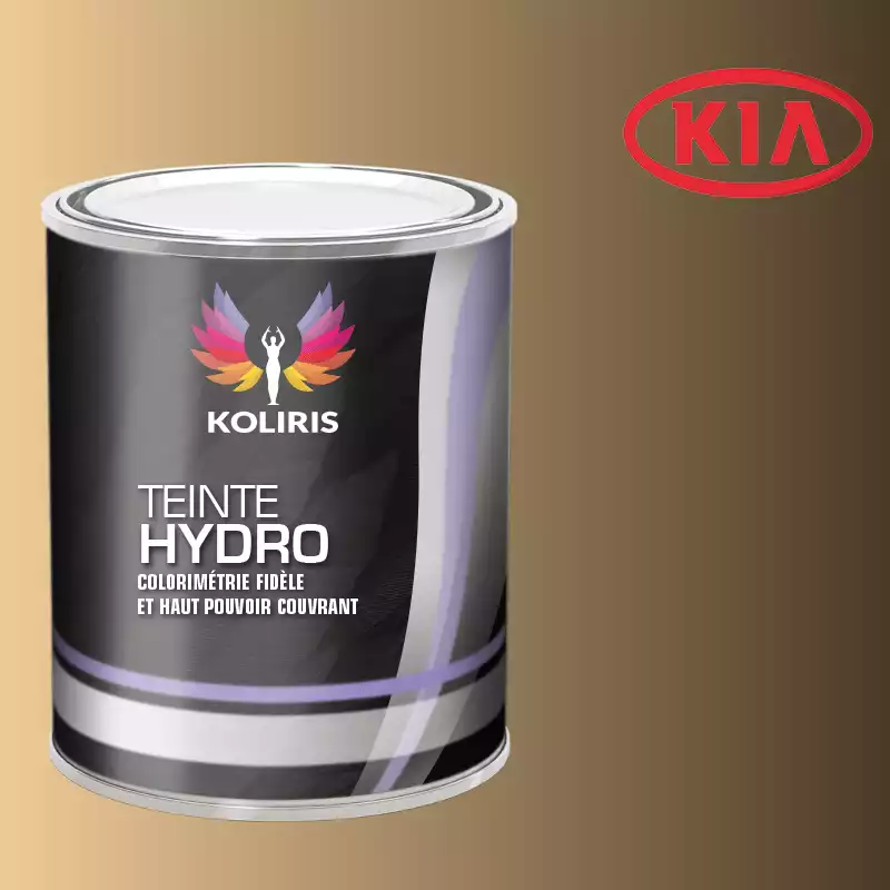 Peinture voiture hydro Kia