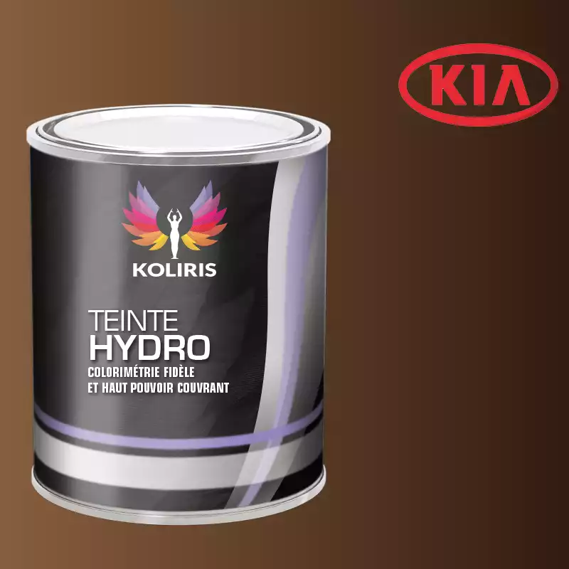 Peinture voiture hydro Kia