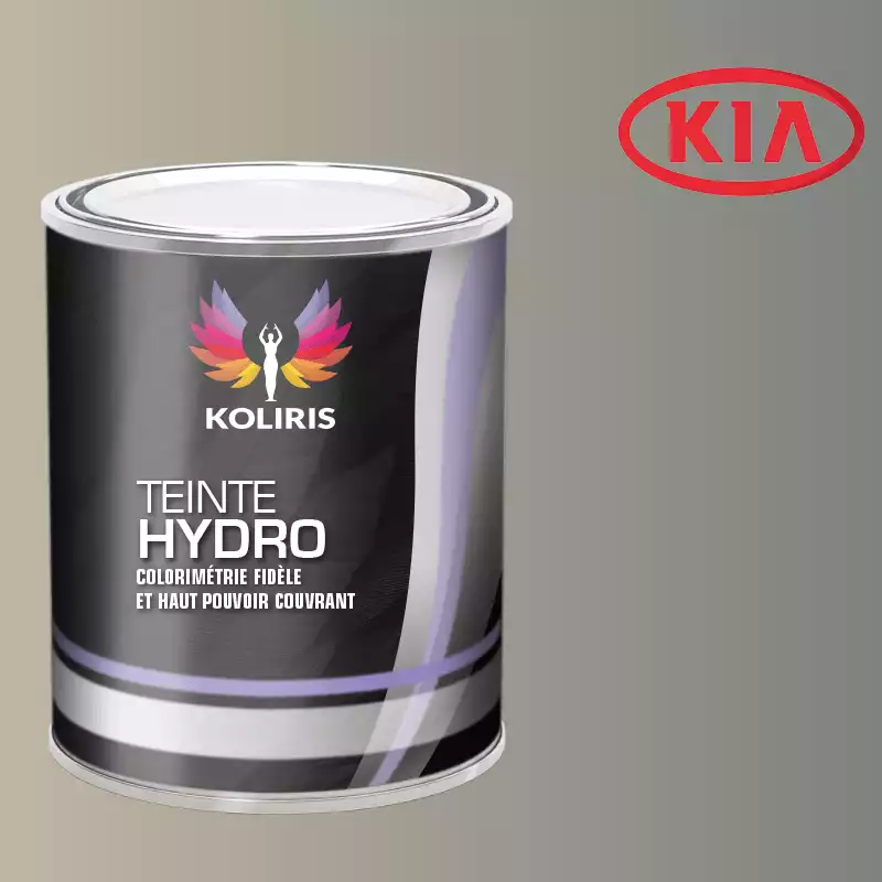 Peinture voiture hydro Kia