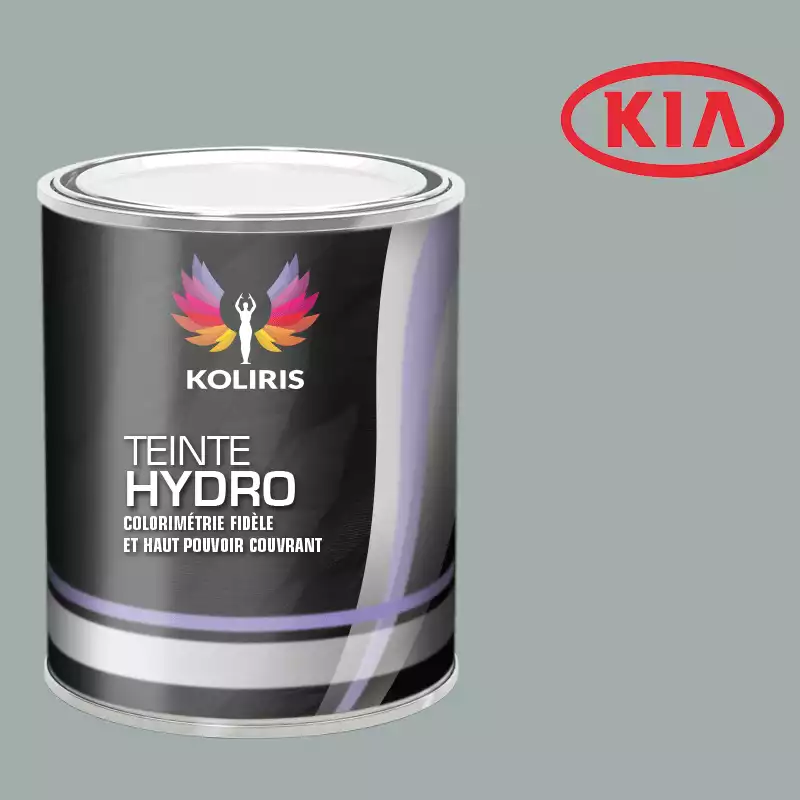 Peinture voiture hydro Kia