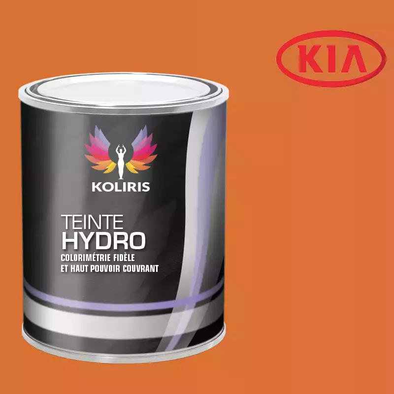 Peinture voiture hydro Kia