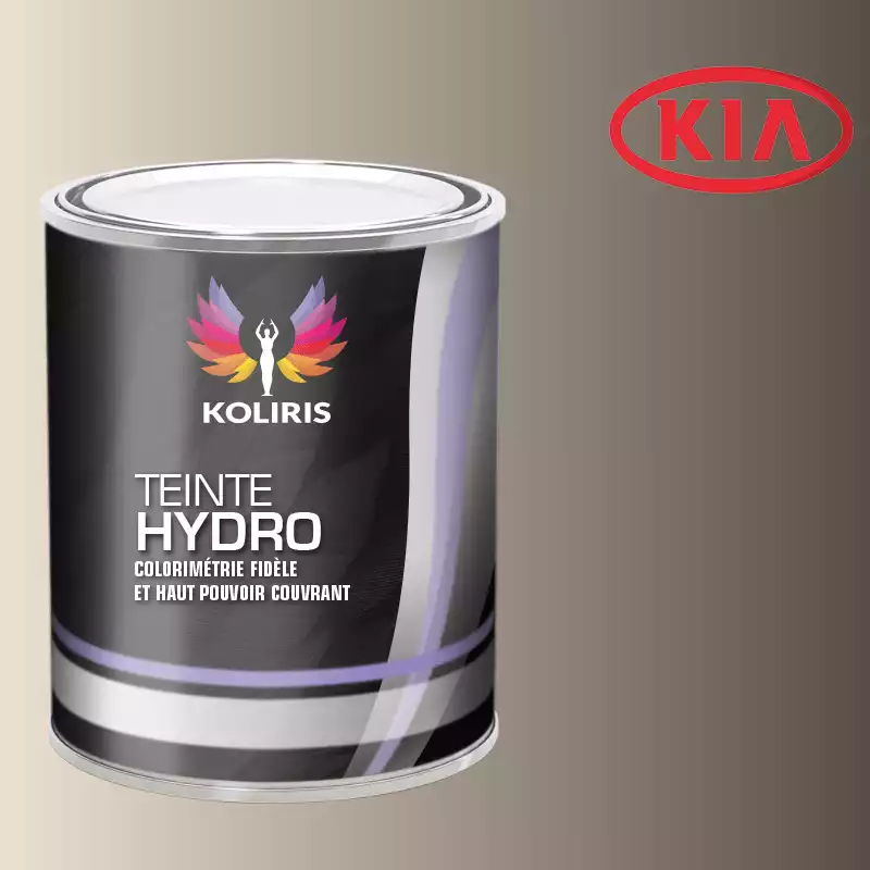 Peinture voiture hydro Kia