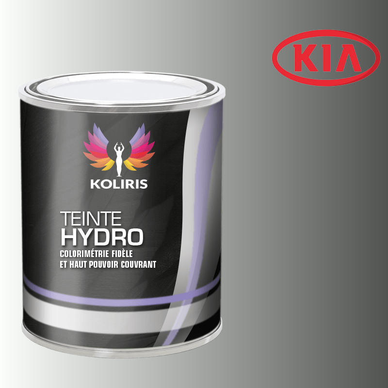 Peinture voiture hydro Kia