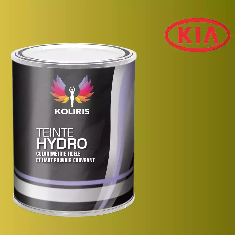 Peinture voiture hydro Kia