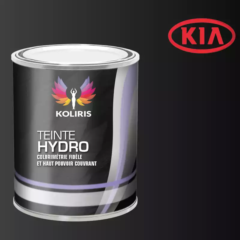 Peinture voiture hydro Kia