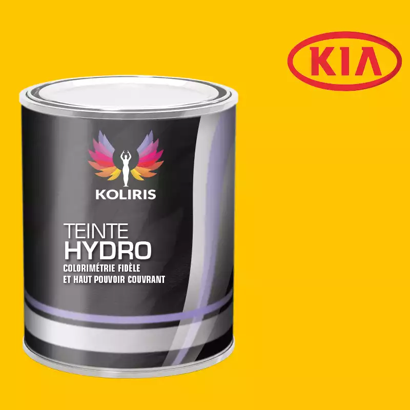 Peinture voiture hydro Kia