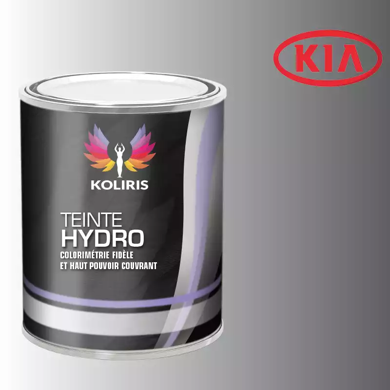 Peinture voiture hydro Kia