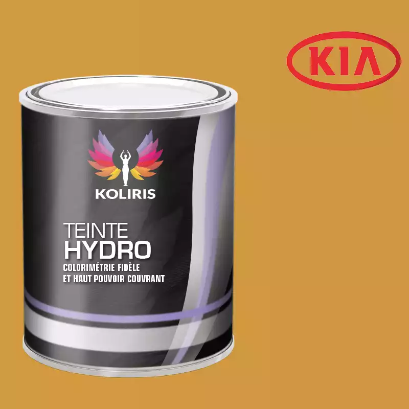 Peinture voiture hydro Kia