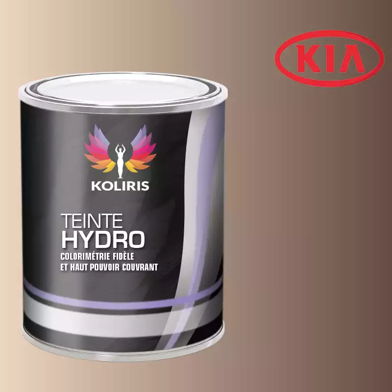 Peinture voiture hydro Kia