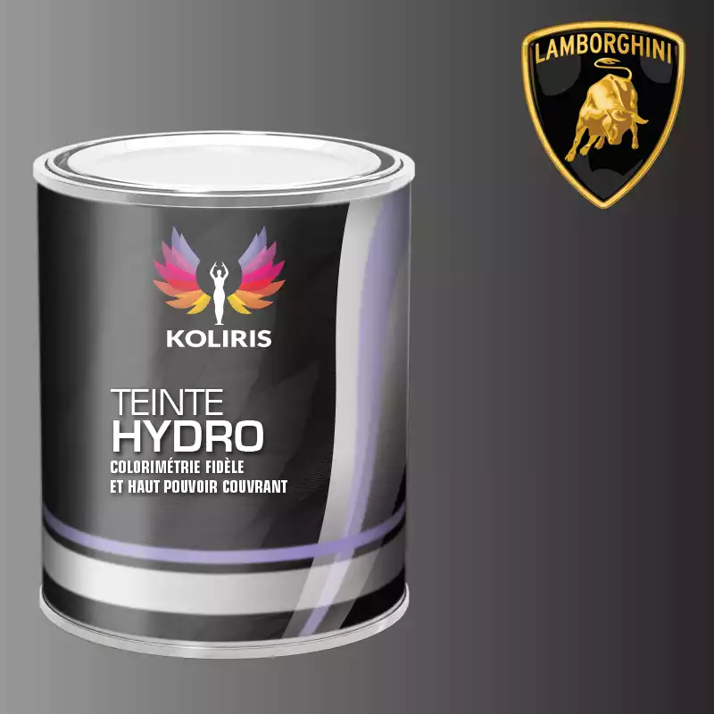 Peinture voiture hydro Lamborghini